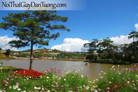 Tranh dán tường, cảnh hoa bên bờ hồ Xuân Hương Đà Lạt DA0086