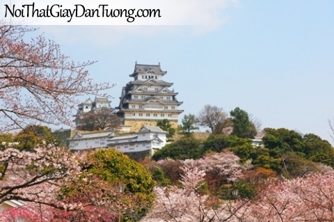Tranh dán tường, Lâu đài nổi tiếng của Nhật Himeji-jo và mùa xuân hoa anh đào DA0152