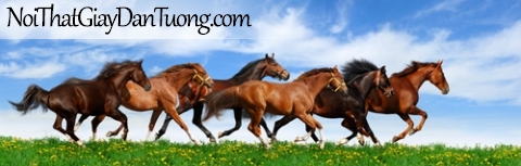Tranh dán tường, những chú ngựa chạy trên thảo nguyên đầy cỏ DA0312