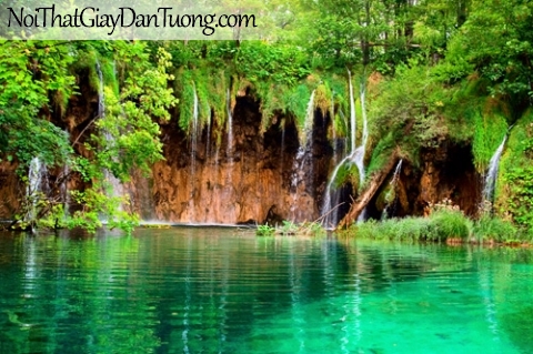 Tranh dán tường, thác nước, hồ nước và rừng cây xanh DA3046