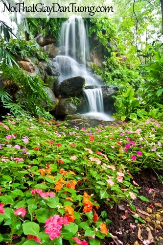 Tranh dán tường, thác nước chảy trên những mỏm đá qua khu rừng xanh với những bông hoa xinh DA3071