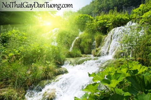 Tranh dán tường, vẻ đẹp của thác nước duới ánh nắng ban mai giữa rừng xanh DA3088