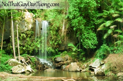 Tranh dán tường, vẻ đẹp mê hồn của thác nước chảy từ rừng xanh DA3078