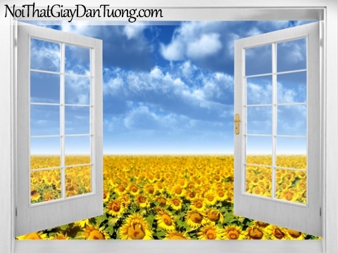 Tranh dán tường, cửa sổ mở ra với bầu trời xanh và bạt ngàn hoa hướng dương màu vàng 3D0012