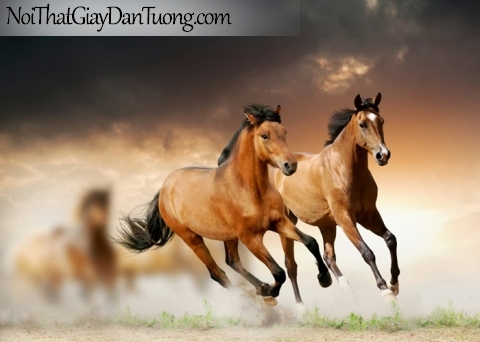 Tranh dán tường | bức tranh tuyệt tác những chú ngựa phi trên thảo nguyên dưới bầu trời DA018