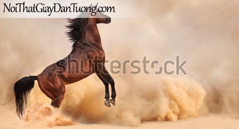Tranh dán tường | bức tranh chú ngựa dũng mãnh tung vó đá của mình DA039