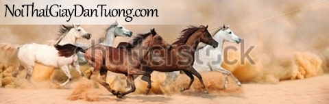 Tranh dán tường | bức tranh những chú ngựa trên sa mạc DA051