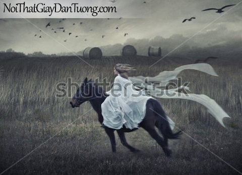 ranh dán tường | Bức tranh cô gái cưỡi ngựa trên đồng cỏ bao la rộng lớn DA062