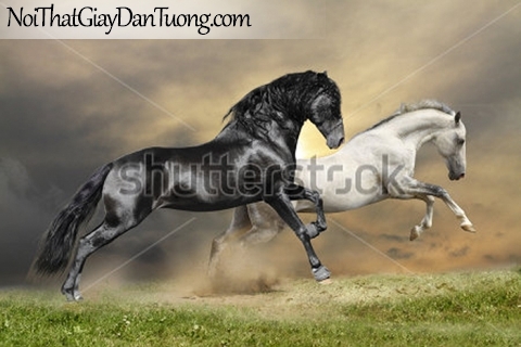 Tranh dán tường | Bức tranh 2 chú ngựa chạy trên thảo nguyên DA080