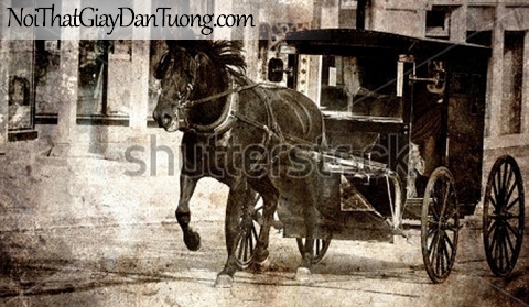 Tranh dán tường | Bức tranh chú ngựa kéo xe trong thành phố DA061