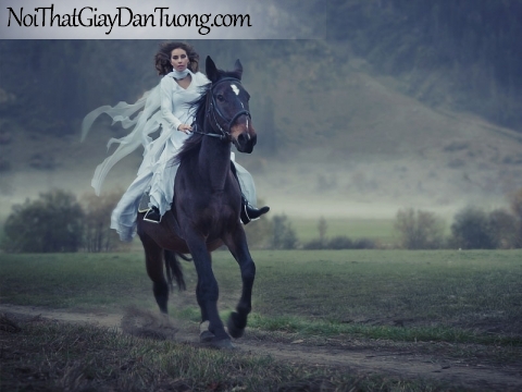 Tranh dán tường | Bức tranh cô gái cưỡi chú ngựa trên thảo nguyên bao la rộng lớn DA063