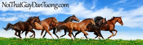 Tranh dán tường | Bức tranh những chú ngựa chạy trên thảo nguyên cỏ và hoa DA067