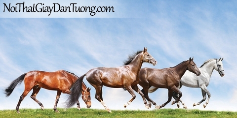Tranh dán tường | Bức tranh những chúa ngựa chạy trên thảo nguyên rộng lớn DA066