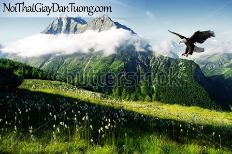 Tranh dán tường , ngắm cảnh chim đại bàng bay qua đồi núi hùng vĩ DA355