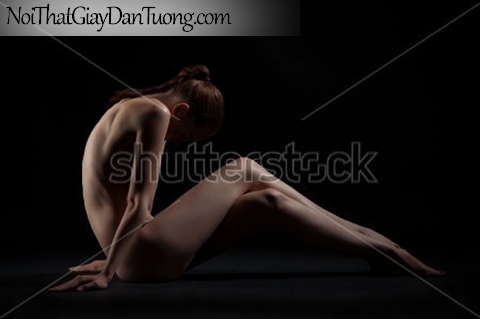 Tranh dán tường nghệ thuật | Tranh khỏa thân, nude, body, đường cong DA637
