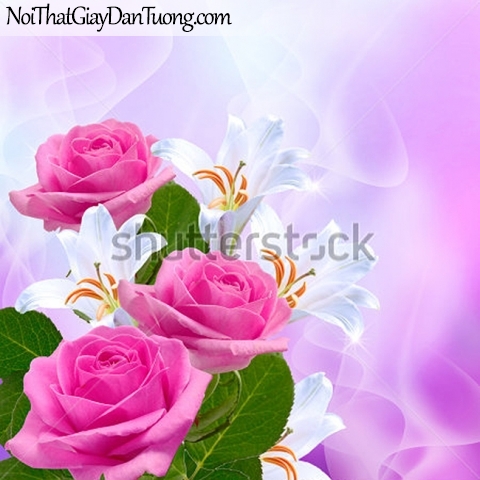 Tranh dán tường | Bức tranh những bông hoa hồng đang khoe sắc DA2284