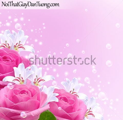 Tranh dán tường | Bức tranh những bông hoa hồng khoe sắc cùng với những bông hoa lan DA2290