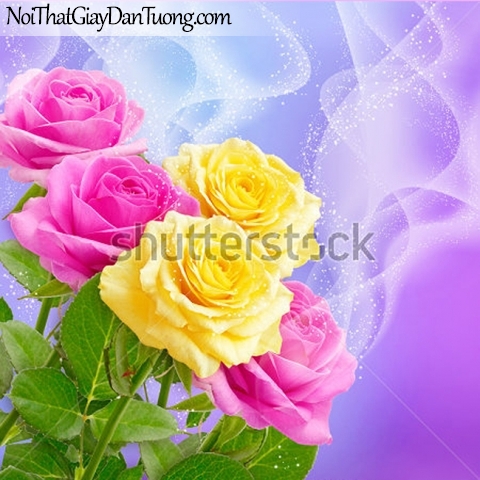 Tranh dán tường | Bức tranh những bông hoa hồng tuyệt đẹp DA2298