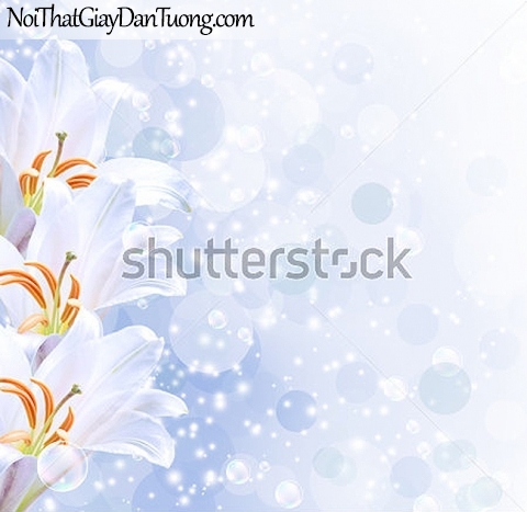 Tranh dán tường | Bức tranh những bông hoa lan đang khoe sắc cùng với những bong bóng nước DA2291