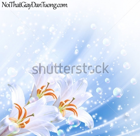 Tranh dán tường | Bức tranh những bông hoa lan tuyệt đẹp DA2293