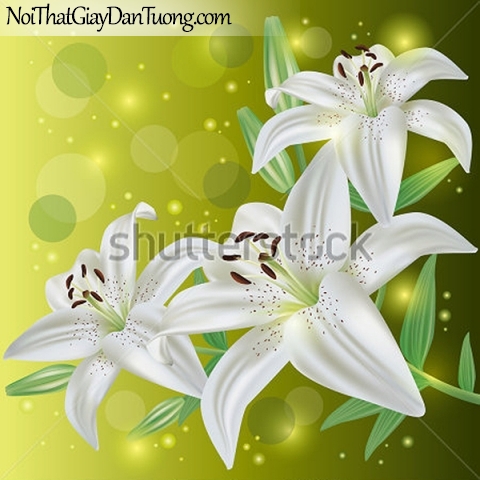 Tranh dán tường | Bức tranh những bông hoa loa kèn trắng tuyệt đẹp DA2368