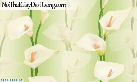 Lily | Giấy dán tường Lily 36001-5 | những bông hoa màu tím, dây leo tường nền màu trắng đẹp