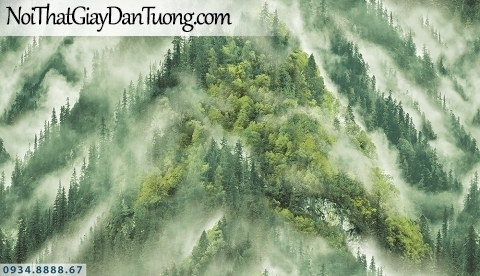 Assemble | Giấy dán tường rừng núi cao, sương sớm phủ trên cây, sường núi nhìn từ trên cao | Giấy dán tường Assemble 40113-3
