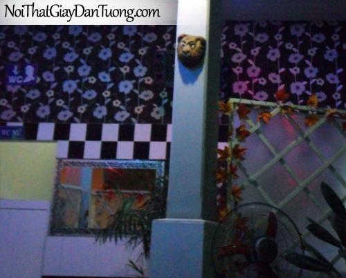Giấy dán tường giá rẻ
