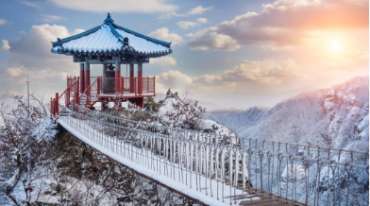 Giấy dán tường Hàn Quốc