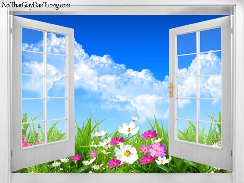 Tranh dán tường, cửa sổ mở ra với bầu trời xanh và những bông hoa đang khoe sắc 3D0014