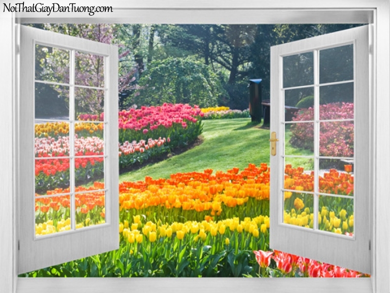 Tranh dán tường, những bông hoa đang khoe sắc bên ngôi nhà của bạn với ánh nắng và khu rừng xanh 3D0016