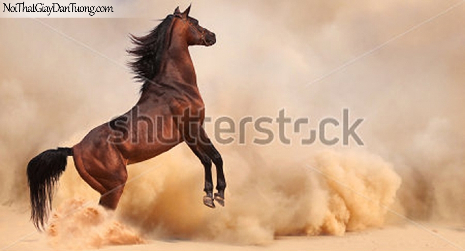 Tranh dán tường | bức tranh chú ngựa dũng mãnh tung vó đá của mình DA039