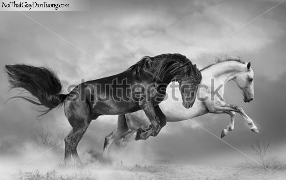 Tranh dán tường | bức tranh những chú ngựa cùng nhau tung vó đá của mình DA032