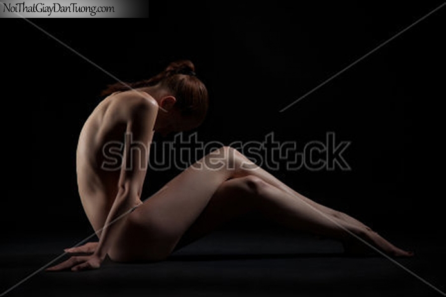 Tranh dán tường nghệ thuật | Tranh khỏa thân, nude, body, đường cong DA637