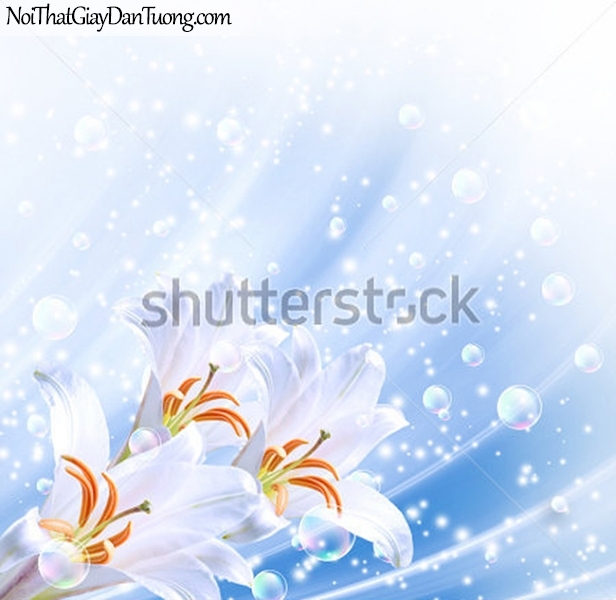 Tranh dán tường | Bức tranh những bông hoa lan tuyệt đẹp DA2293