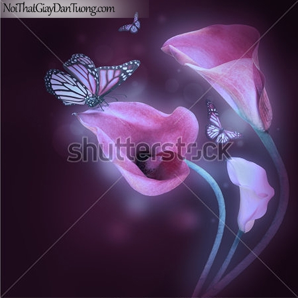Tranh dán tường | Bức tranh vẻ đẹp độc đáo giữa hoa và bướm đẹp DA2312