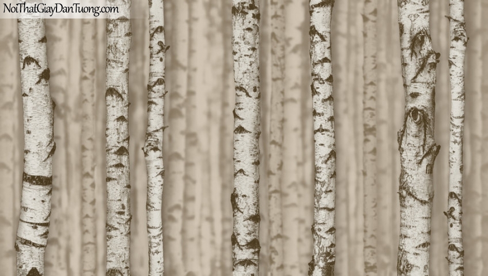 Giấy dán tường giả gỗ, những cây khô, màu xám đất 2632-2 g
