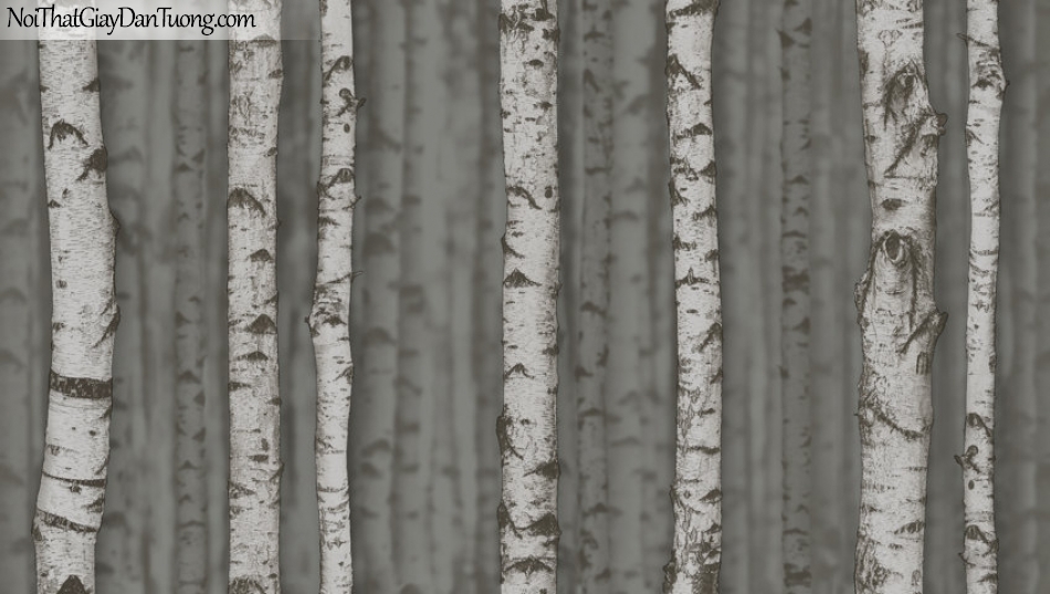 Giấy dán tường giả gỗ, những cây khô trên nền giả gỗ, màu xám đất, nâu 2632-3 g