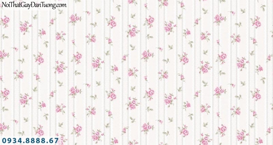 Giấy dán tường AURORA, Giấy dán tường nền màu trắng kem, hoa nhỏ màu đỏ, màu hồng, giấy dán tường cho phòng ngủ đẹp 4204-2
