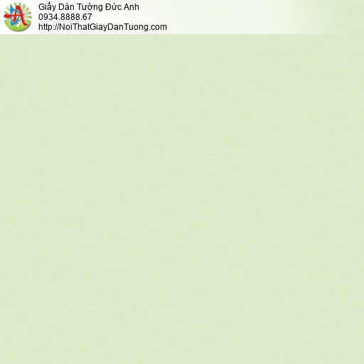 Giấy dán tường màu xanh lá cây, dòng giấy gân trơn | SKETCH 15077-2