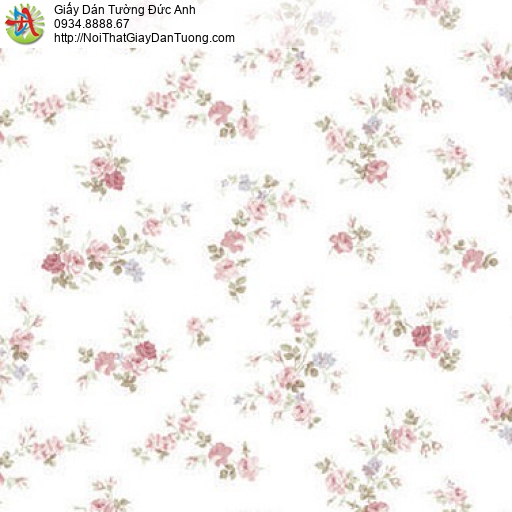 70211-1 - Giấy dán tường hoa nhỏ, hoa nhỏ màu hồng nền màu trắng