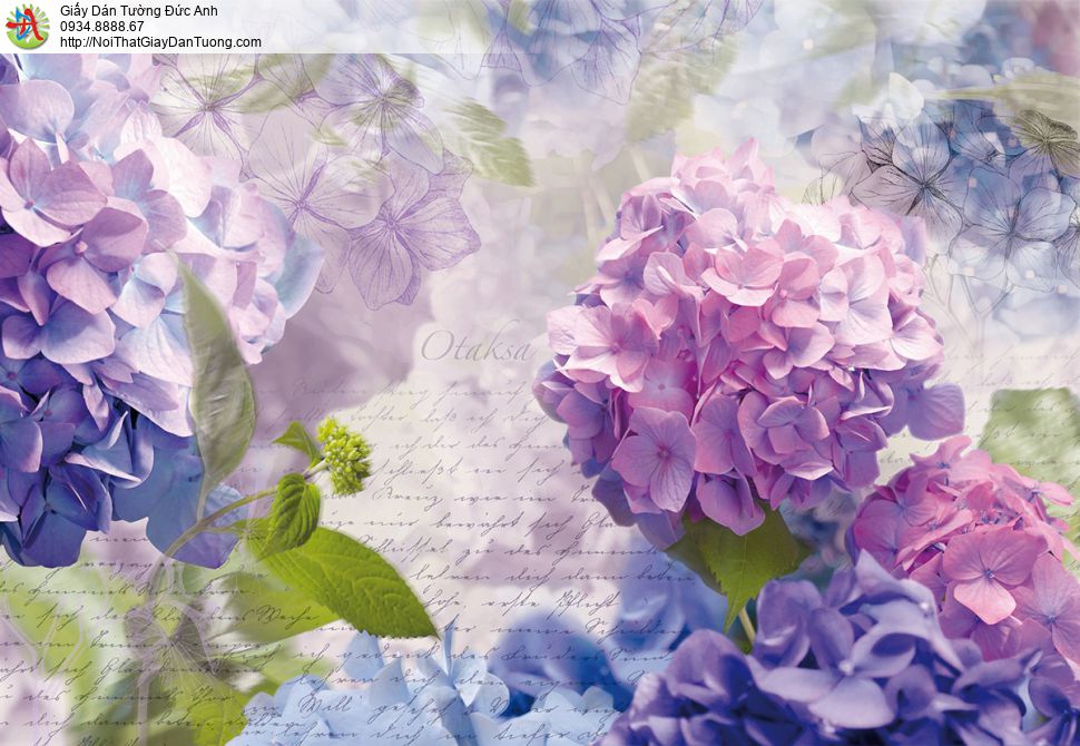 3321 - Tranh dán tường hoa cẩm tú cầu đẹp