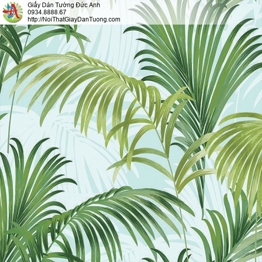 JCD 5011-4 Giấy dán tường lá cọ màu xanh tươi mát cho không gian nhà bạn thêm hòa hợp với thiên nhiên