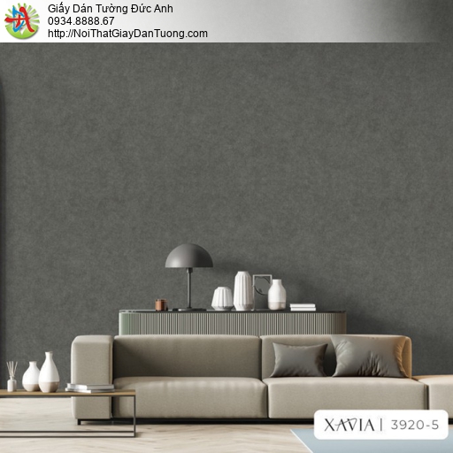3920-5 Giấy dán tường màu xám than chì cho căn nhà bạn thêm hiện đại