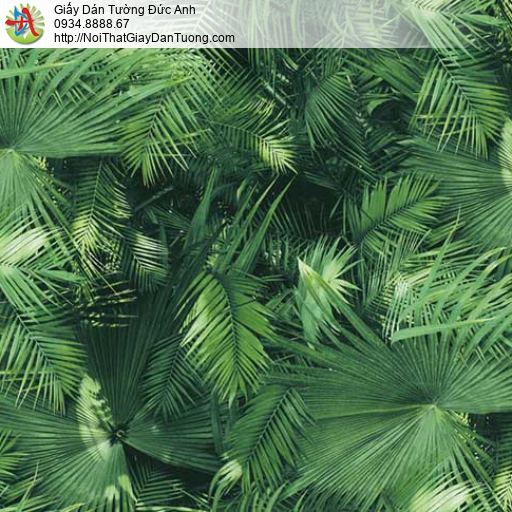 Galaxy 7833-1, giấy dán tường hình lá cây rừng nhiệt đới, lá cọ lá dừa lá xương xỉ màu xanh lá cây
