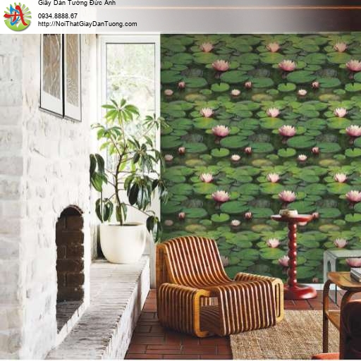 Giấy dán tường hồ hoa sen màu hồng nở rộ 88634-1