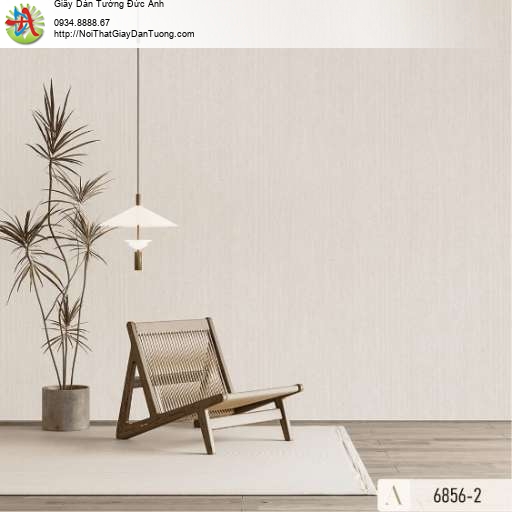 Giấy dán tường vân nổi màu xám - Albany 6856-2
