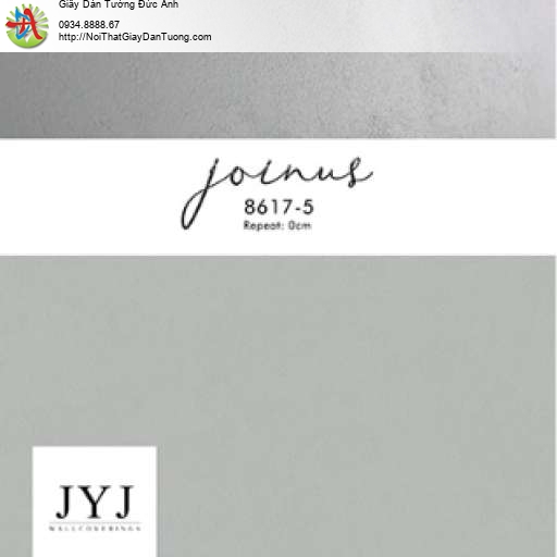 Giấy dán tường màu xám - Joinus 8617-5